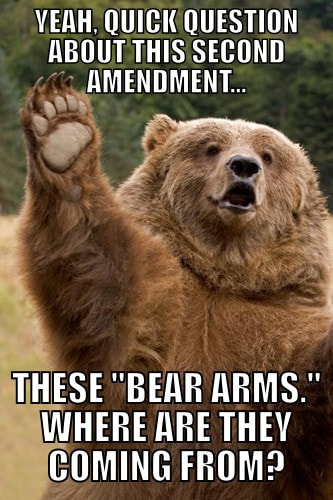 Bear Arms Meme